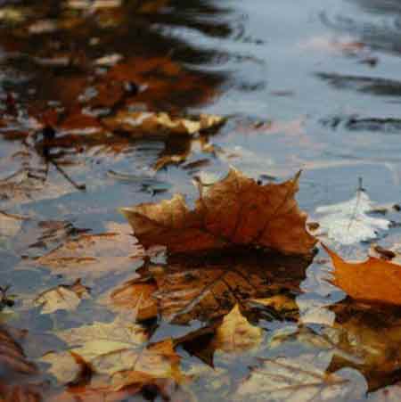 دانلود آهنگ مرجان حجت قائمی